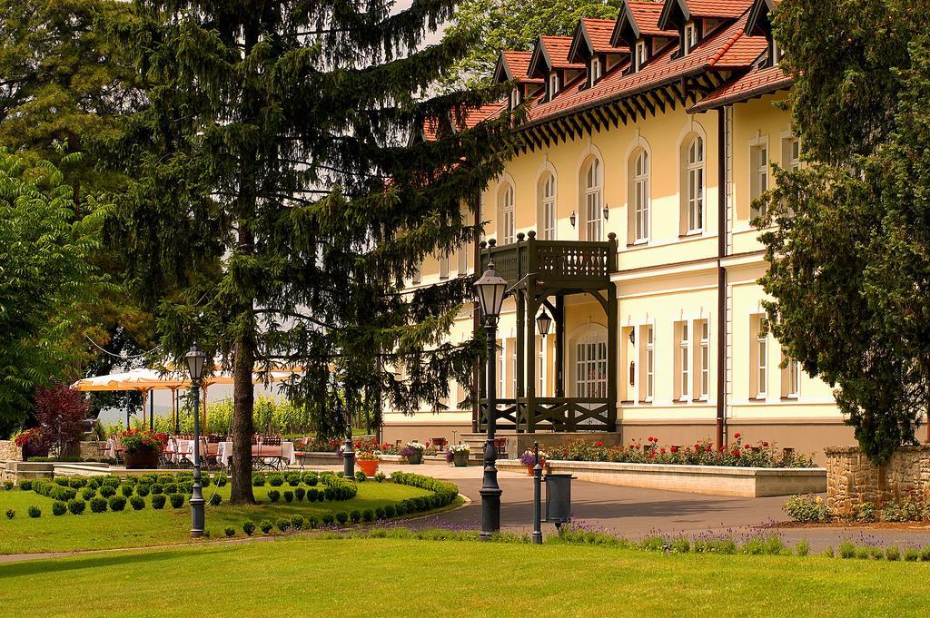 Castle Hotel Grof Degenfeld Superior Тарцаль Экстерьер фото